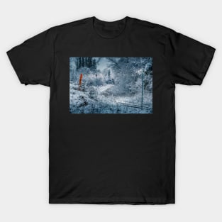 Snow Tracks 1 T-Shirt